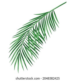 Stilisierte Illustration des Palmzweigs. Bild für Design oder Dekoration.