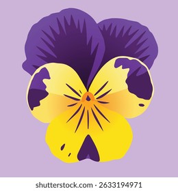 Stylized illustration of a pansy flower with vibrant yellow and deep purple petals on a soft lavender background
