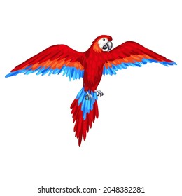 Stylized illustration of parrot. Image for design or decoration.