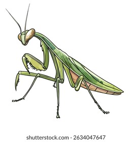 A stylized illustration of a praying mantis, featuring green and tan coloration, long antennae, and detailed legs, poised in a predatory stance.