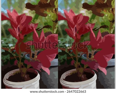 Stylized illustration of a red Coleus plant (Plectranthus scutellarioides) with vibrant maroon leaves, growing in a small white plastic pot. Set against a blurred green garden background, this image