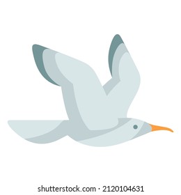 Stylized illustration of seagull. Marine fauna and wildlife.
