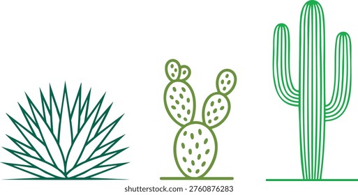A stylized illustration set of desert plants including an agave, prickly pear cactus, and saguaro cactus, representing arid landscapes, drought resistant vegetation, and southwestern nature themes.