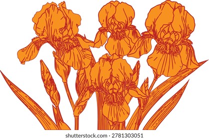 stylized illustration of several iris flowers and their foliage, all rendered in a uniform bright orange color 