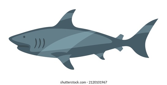 Stylized illustration of shark. Marine fauna and wildlife.