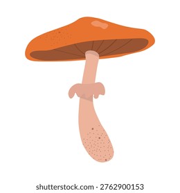 A stylized illustration of a slender toadstool with an orange-brown cap and a thin, slightly curved stem. This graphic represents a generic wild fungus often found in deep forest litter during the wet season.