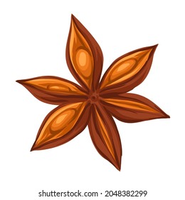Stylized illustration of star anise. Image for design or decoration.