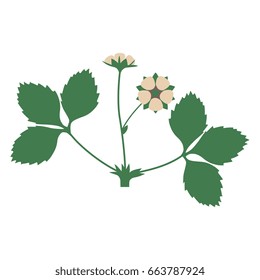 Stylized illustration of a strawberry flower