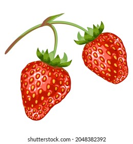 Ilustración estilizada de fresa. Imagen de diseño o decoración.