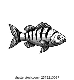 A stylized illustration of a striped fish showcasing intricate details in its fins and scales.