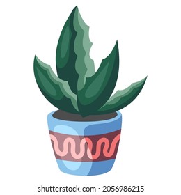 Stylized illustration of succulent in pot. Image for design or decoration.