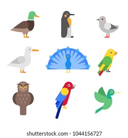 Stylized illustrations of different birds. Vector collection of birds cartoon, parrot and penguin, sparrow and owl