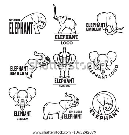 Stylized illustrations of elephants. Templates for logo design elephant animal, wild animal logo vector