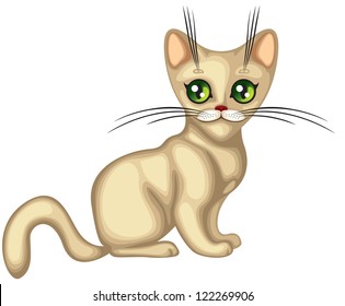 The stylized image of the beloved home of a kitten