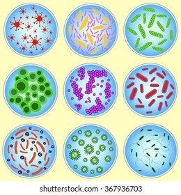 stylized image of colored bacteria in a petri dish