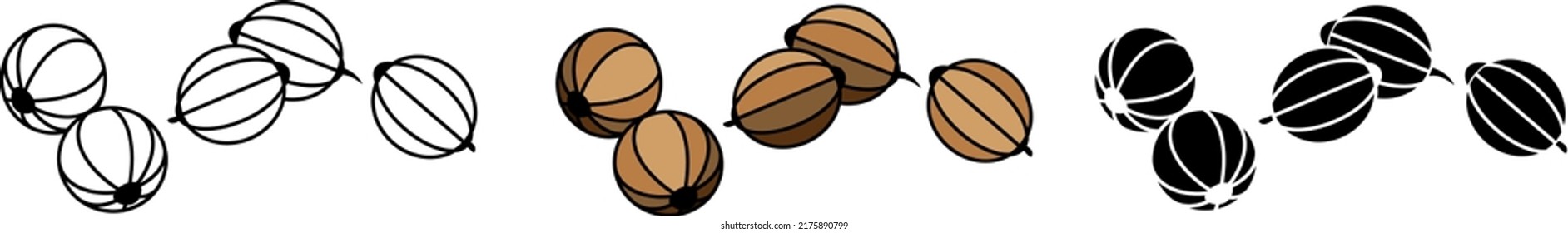 Stylized image of coriander seeds. Coriander icon, vector linear illustration made on a white background.