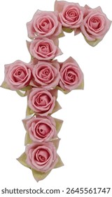 A stylized image depicts the letter "F" formed by an arrangement of light pink roses, each rose meticulously detailed, against a stark white background.