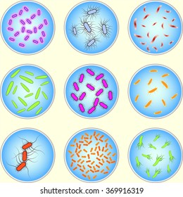 stylized image of different types of bacteria under microscope