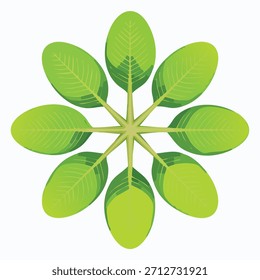 A stylized image features bright green leaves arranged radially against a white backdrop. The leaves have detailed vein structures with a gradient effect. The composition provides a simple and clean aesthetic.