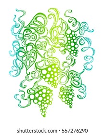 
stylized image of grapes, isolated. The label on the bottle of wine, decorative feature printed materials, printing on T-shirts, design element wine list, tattoo vine illustration winding branches
