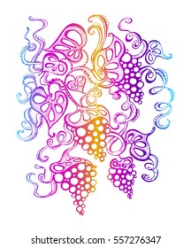 
stylized image of grapes, isolated. The label on the bottle of wine, decorative feature printed materials, printing on T-shirts, design element wine list, tattoo vine illustration winding branches
