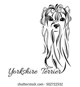 a stylized image of the head of a dog Yorkshire terrier on a transparent background. The words Yorkshire Terrier
