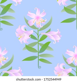 The stylized image of a lily. Vector graphics. Seamless pattern