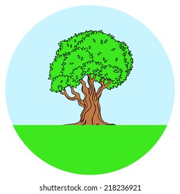 stylized image of a tree, vector