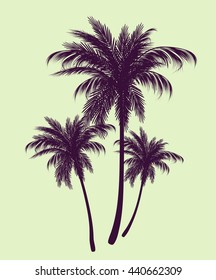 Stylized image of trees in the form of contours.