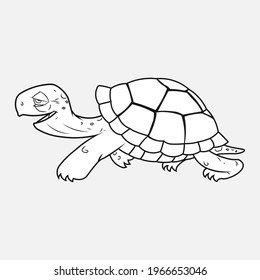 The stylized image of a turtle on a gray background