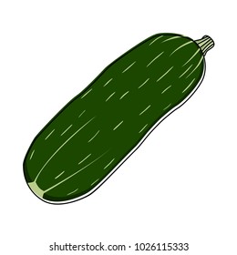 stylized image of zucchini on white background can be used as an element of design in advertising and product design