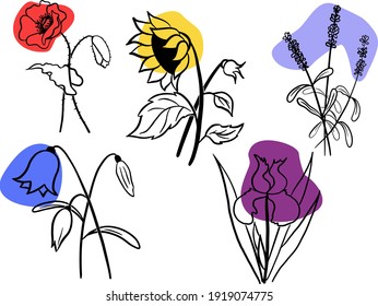 Stylized images of flowers, line art. Poppy, iris, sunflower, lavender, bellflower.