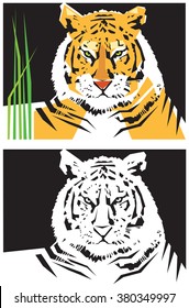 Stylized images of tiger. Vector illustration
