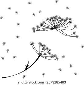 stylized inflorescences of hogweed, umbrella plant, vector clipart