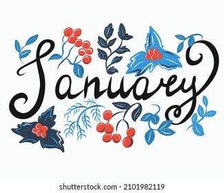 Stylized inscription January and leaves with berries on a white background.