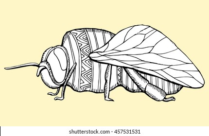 The stylized insect. Wasp. Bumblebee. Hornet. Fly. Line art. Black and white drawing by hand. Tattoo. Doodle. Graphic arts. Zentangle.