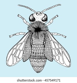 The stylized insect. Wasp. Bumblebee. Hornet. Fly. Line art. Black and white drawing by hand. Tattoo. Doodle. Graphic arts. Zentangle.