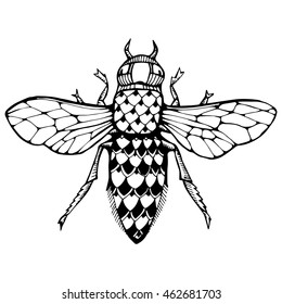 The stylized insect. Wasp. Bumblebee. Hornet. Fly. Line art. Black and white drawing by hand. Tattoo. Doodle. Graphic arts. Zentangle.