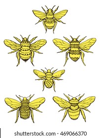 Stylized insects. Collection of flies. Line art. Black and white drawing by hand. Seth ornamental insects. Wasp. Bumblebee. Hornet. Doodle. Tattoo.