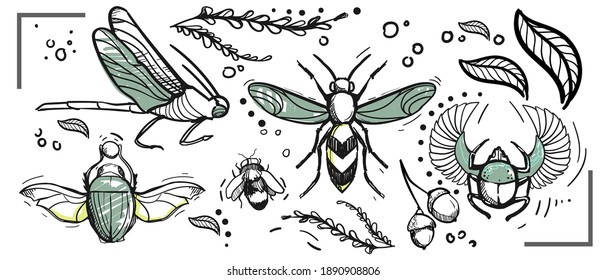 Stylized Insects Drawn By Hand. It Looks Like A Book Illustration And Linocut. Beetle, Wasp, Bee, Grasshopper, Dragonfly.