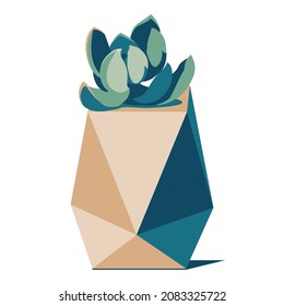 Stylized isolated vector image of a succulent in a tall faceted pot in turquoise and beige colors.
