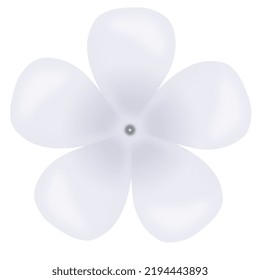 A stylized jasmine flower, isolated