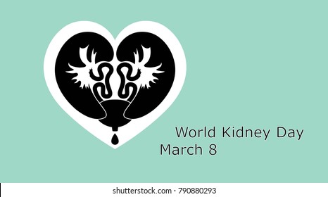 Stylized kidney and bladder with a liquid droplet, inside a heart shaped backdrop vector illustration. World Kidney Day is celebrated on March 8th in 2018.
