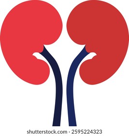 Stylized kidneys in red with connecting blue tubes, a clear representation of the renal system, suitable for health and educational visuals. Not AI Generated