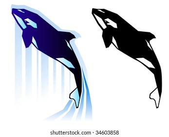 Stylized killer whale illustration in two color treatments