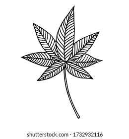 Stylized leaf cannabis.Botanical vector illustration.Drawing ink in the style of Doodle. Isolated object on a white background. Decorative elements for spring and summer design, wedding.