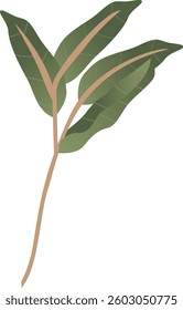 A Stylized Leaf Design Illustration