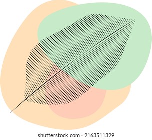 A stylized leaf drawn with black lines on colored spots of various shapes