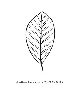 Stylized Leaf Illustration Perfect for Emphasizing Nature and Environmental Themes
