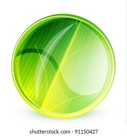 Stylized leaf textured glass. Vector nature concept
